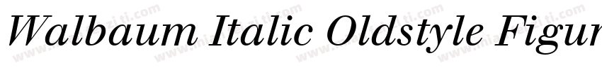 Walbaum Italic Oldstyle Figures字体转换